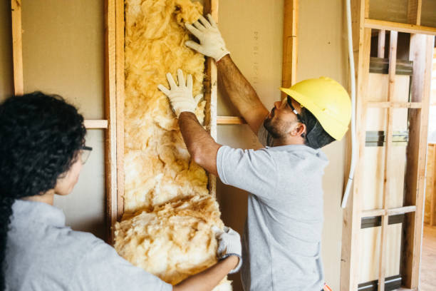 Best Garage Insulation  in Clarkson Valley, MO